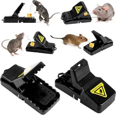 Mouse Trap Mouse Catcher
